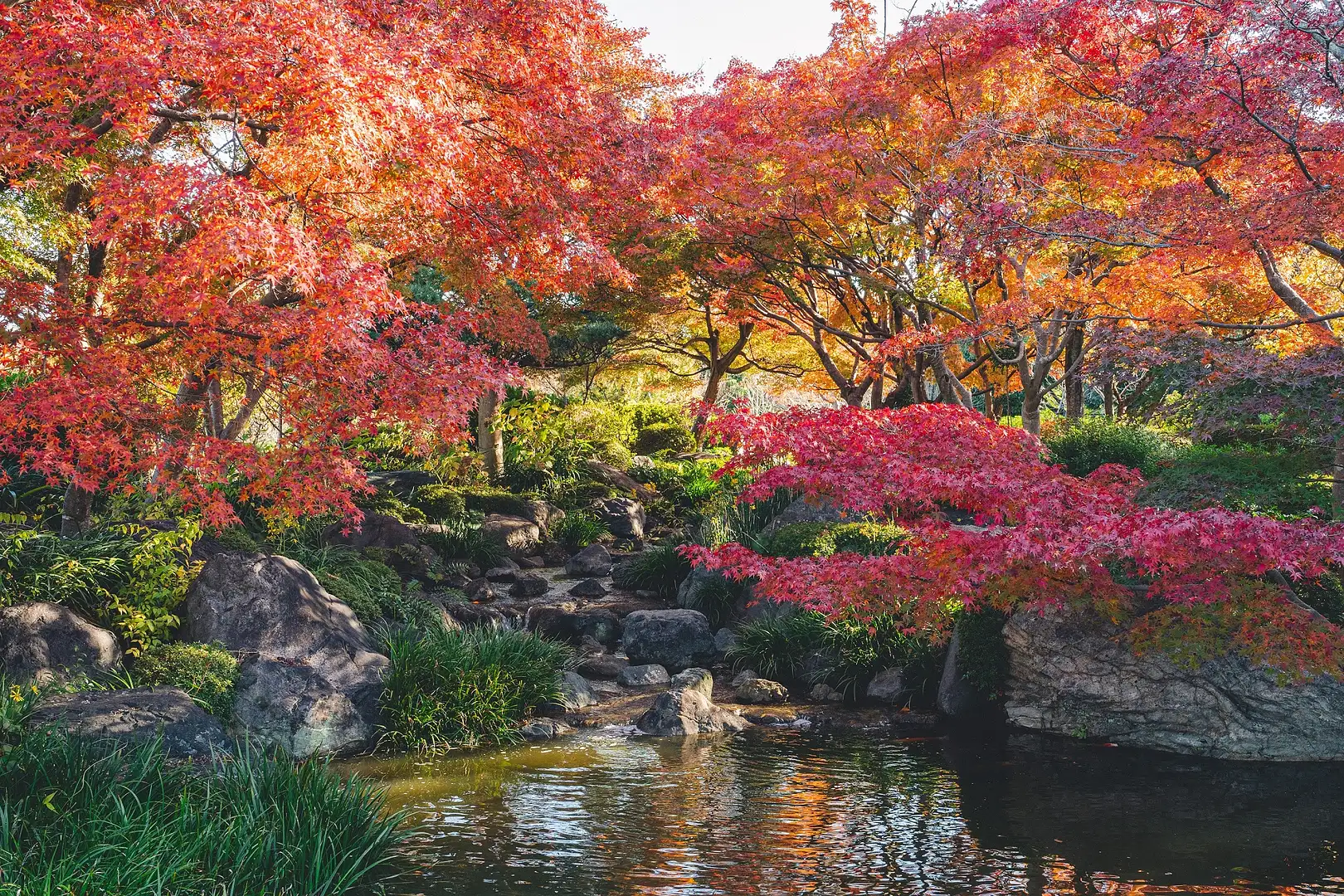 大仙公園 日本庭園 | 観光スポット | 【公式】泉州観光ガイド [ KIX